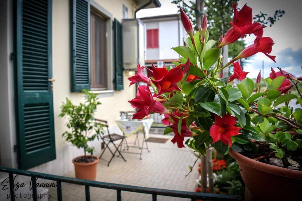 Casa Letizia Apartment Ponsacco Exterior foto